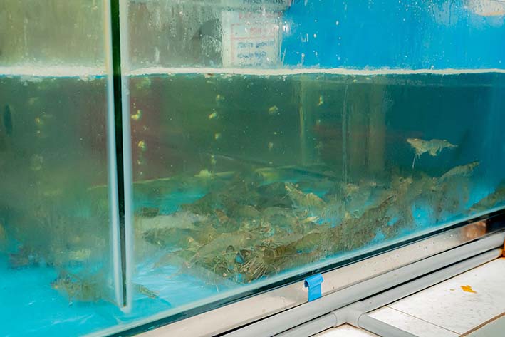 NHÀ HÀNG HẢI SẢN VINH SƠN SẦM SƠN THANH HÓA